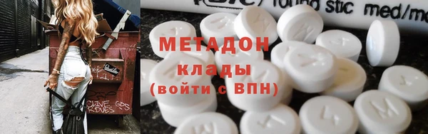 прущие грибы Алзамай