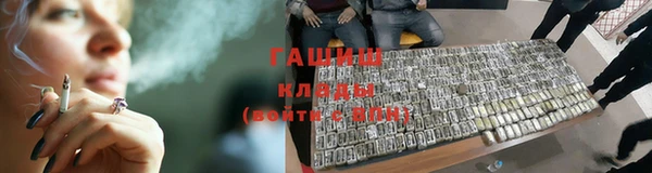 прущие грибы Алзамай