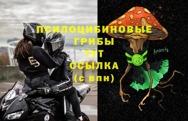 альфа пвп Алексеевка
