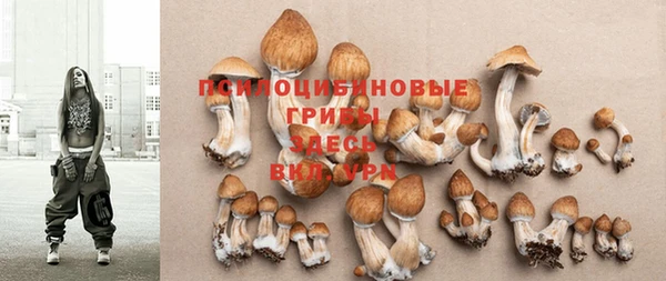 прущие грибы Алзамай