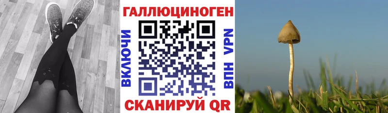Галлюциногенные грибы MAGIC MUSHROOMS дарнет шоп Анадырь